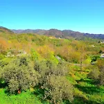 In Near Forest & Sea