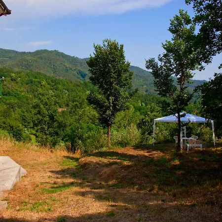 Willa In Near Forest & Sea