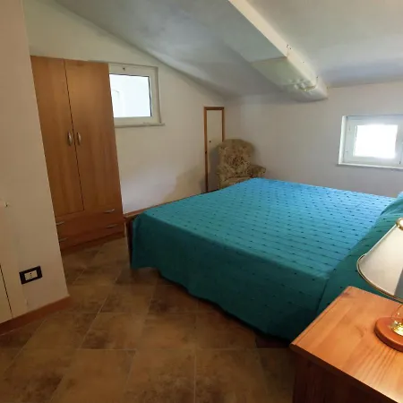 In Near Forest & Sea *