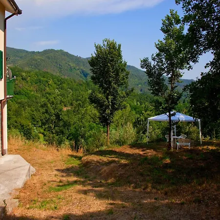 Spacious Surrounded By Nature