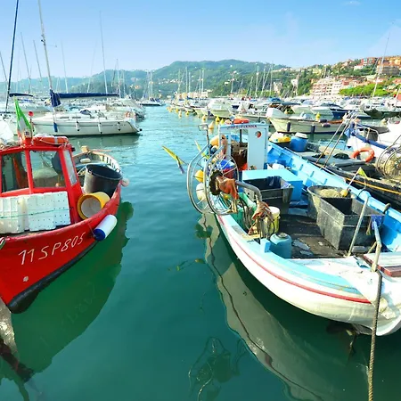 In Near Forest & Sea