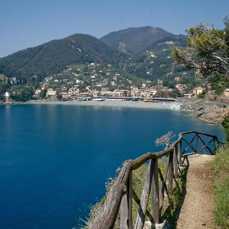 Villa In Near Forest & Sea