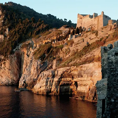 In Near Forest & Sea *