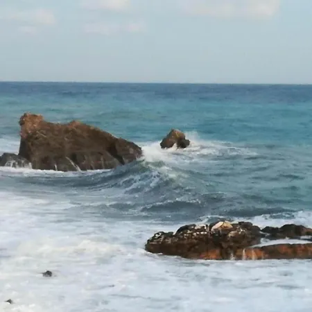 In Near Forest & Sea Willa