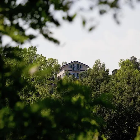 Villa In Near Forest & Sea