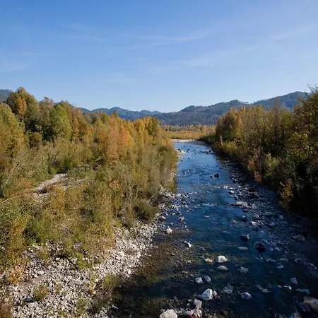 In Near Forest & Sea Willa *