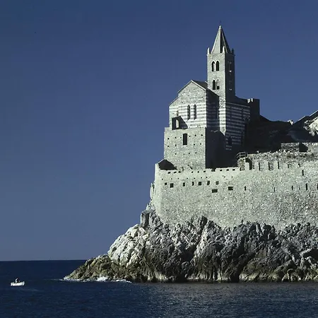 In Near Forest & Sea *