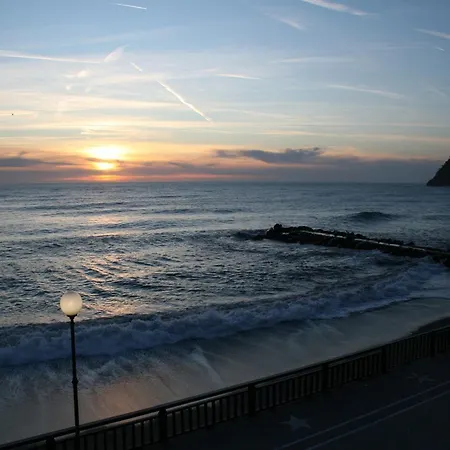 In Near Forest & Sea