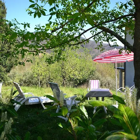 In Near Forest & Sea *