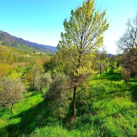 In Near Forest & Sea Sesta Godano