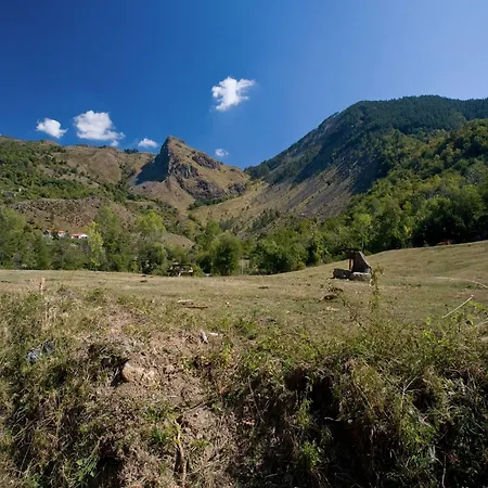 Villa In Near Forest & Sea