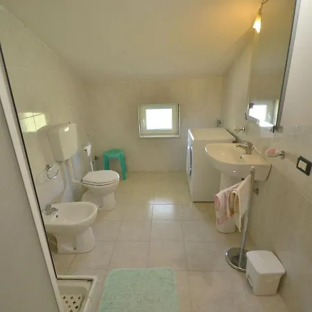 In Near Forest & Sea