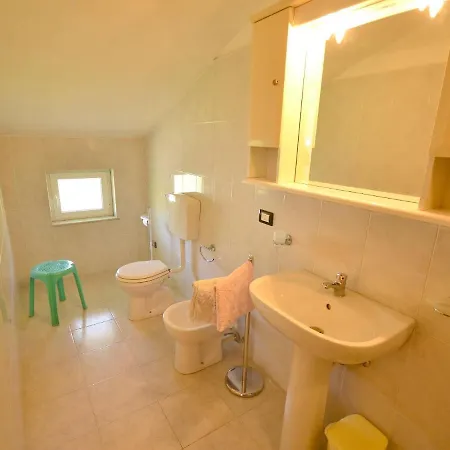 In Near Forest & Sea