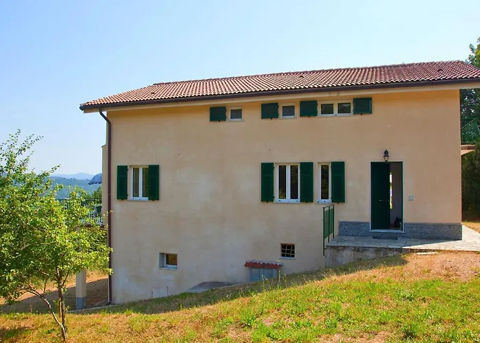 In Near Forest & Sea