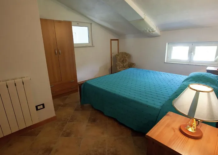 In Near Forest & Sea *