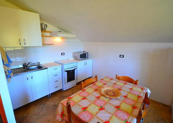 In Near Forest & Sea