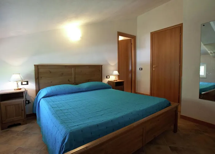 In Near Forest & Sea *