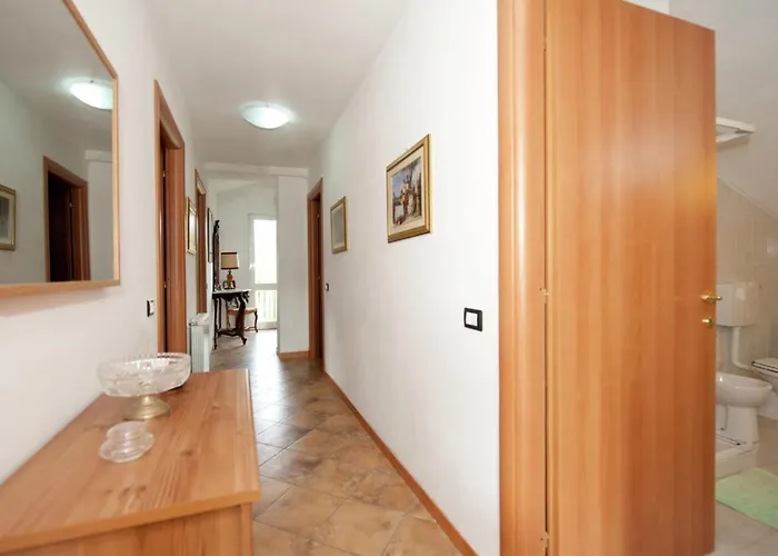 In Near Forest & Sea