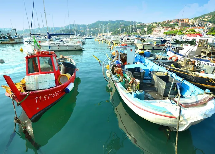 In Near Forest & Sea