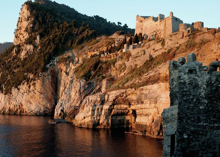 In Near Forest & Sea *