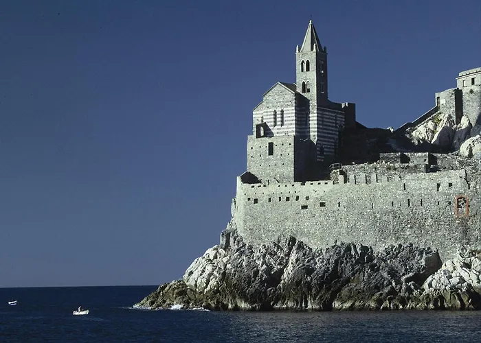 In Near Forest & Sea *