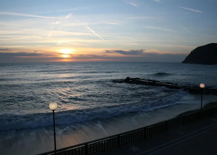 In Near Forest & Sea