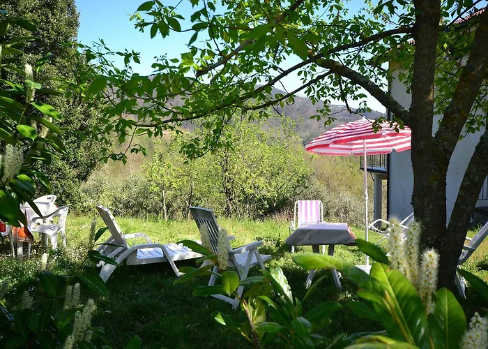 In Near Forest & Sea *