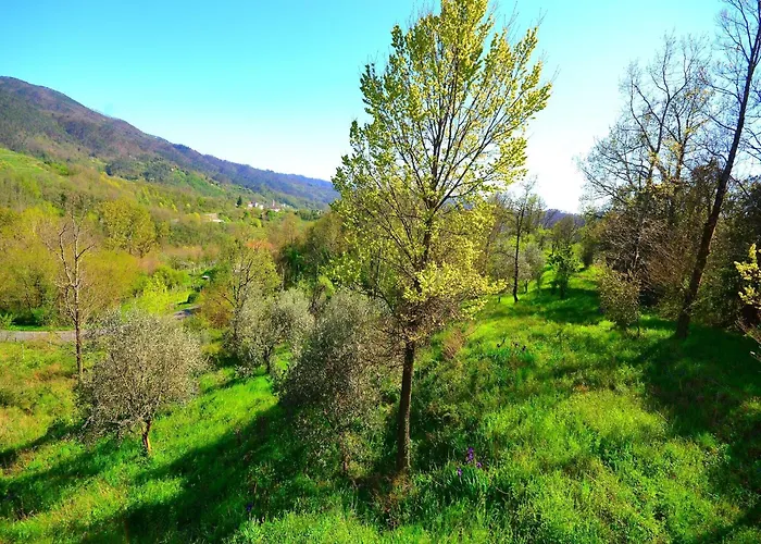 In Near Forest & Sea Sesta Godano
