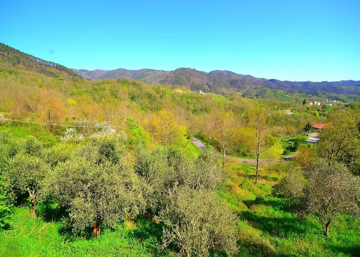 In Near Forest & Sea