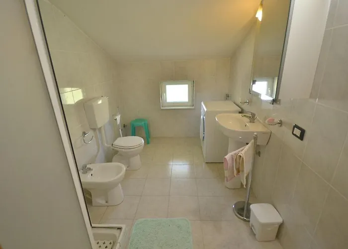 In Near Forest & Sea