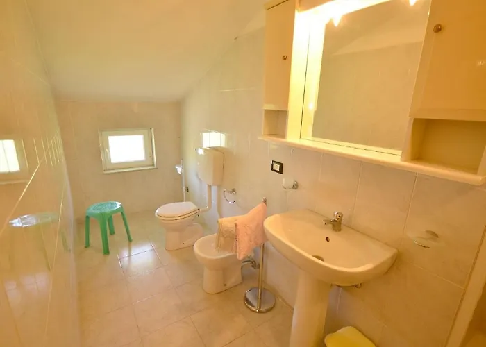 In Near Forest & Sea